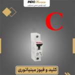 ایندوکوپ فیوز تک فاز 10 امپر 6 کیلو منحنی C